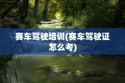 赛车驾驶培训(赛车驾驶证怎么考)