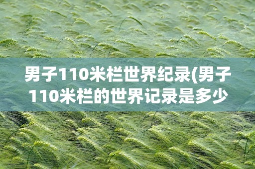 男子110米栏世界纪录(男子110米栏的世界记录是多少创造者是谁)