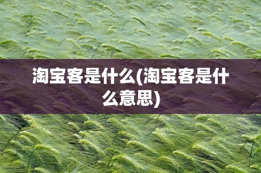 淘宝客是什么(淘宝客是什么意思)