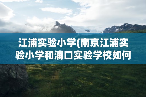 江浦实验小学(南京江浦实验小学和浦口实验学校如何做比较)