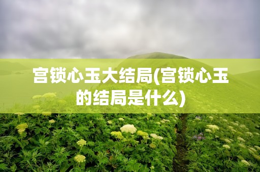 宫锁心玉大结局(宫锁心玉的结局是什么)