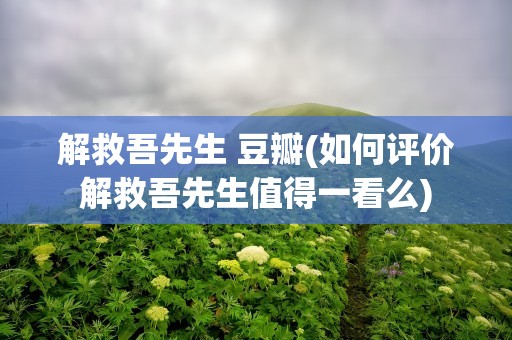 解救吾先生 豆瓣(如何评价解救吾先生值得一看么)