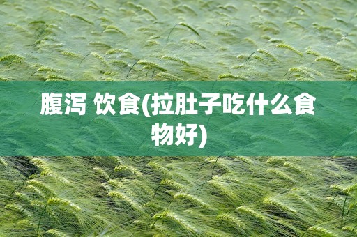 腹泻 饮食(拉肚子吃什么食物好)