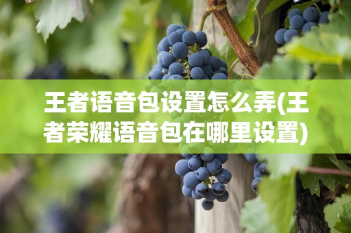 王者语音包设置怎么弄(王者荣耀语音包在哪里设置)