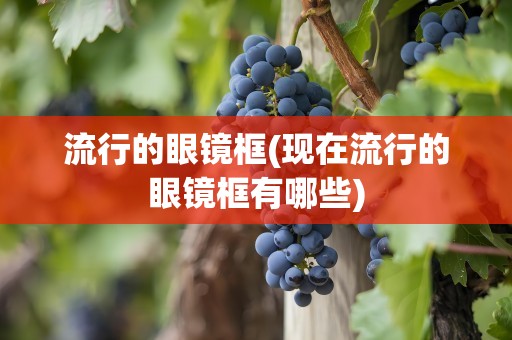 流行的眼镜框(现在流行的眼镜框有哪些)