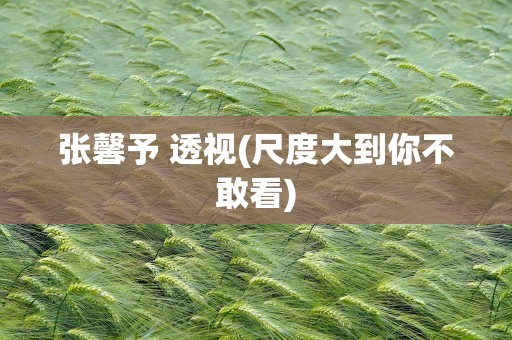 张馨予 透视(尺度大到你不敢看)