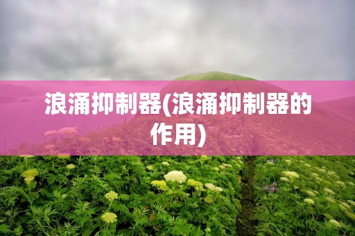 浪涌抑制器(浪涌抑制器的作用)
