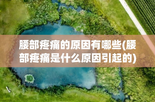 腰部疼痛的原因有哪些(腰部疼痛是什么原因引起的)