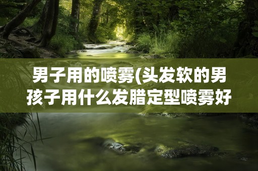 男子用的喷雾(头发软的男孩子用什么发腊定型喷雾好啊)