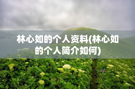 林心如的个人资料(林心如的个人简介如何)
