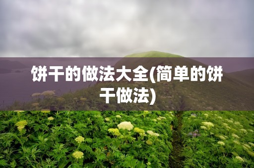饼干的做法大全(简单的饼干做法)