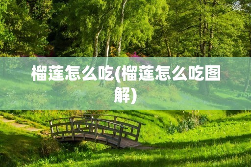 榴莲怎么吃(榴莲怎么吃图解)