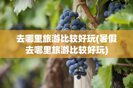去哪里旅游比较好玩(暑假去哪里旅游比较好玩)
