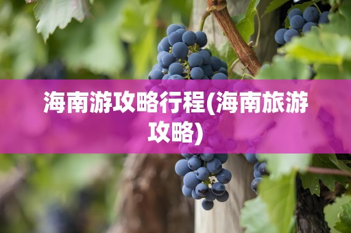 海南游攻略行程(海南旅游攻略)