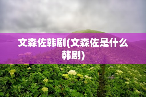 文森佐韩剧(文森佐是什么韩剧)