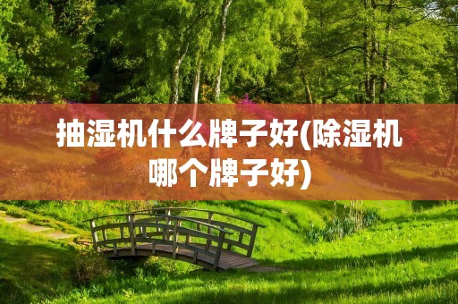 抽湿机什么牌子好(除湿机哪个牌子好)