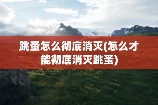 跳蚤怎么彻底消灭(怎么才能彻底消灭跳蚤)