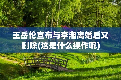 王岳伦宣布与李湘离婚后又删除(这是什么操作呢)