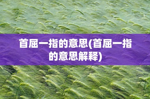 首屈一指的意思(首屈一指的意思解释)