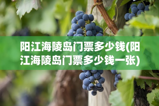 阳江海陵岛门票多少钱(阳江海陵岛门票多少钱一张)