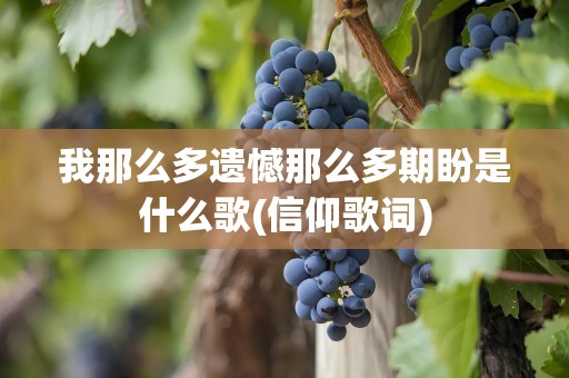 我那么多遗憾那么多期盼是什么歌(信仰歌词)