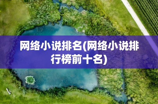 网络小说排名(网络小说排行榜前十名)