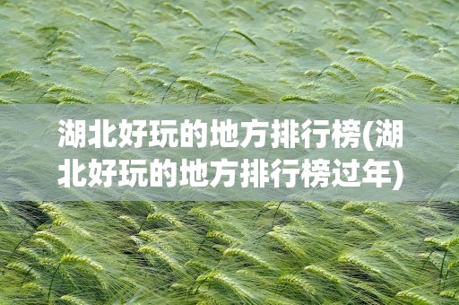 湖北好玩的地方排行榜(湖北好玩的地方排行榜过年)