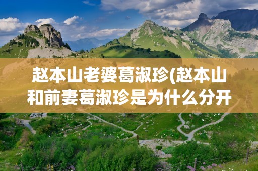 赵本山老婆葛淑珍(赵本山和前妻葛淑珍是为什么分开的)