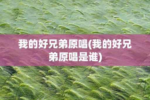 我的好兄弟原唱(我的好兄弟原唱是谁)