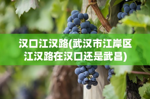 汉口江汉路(武汉市江岸区江汉路在汉口还是武昌)