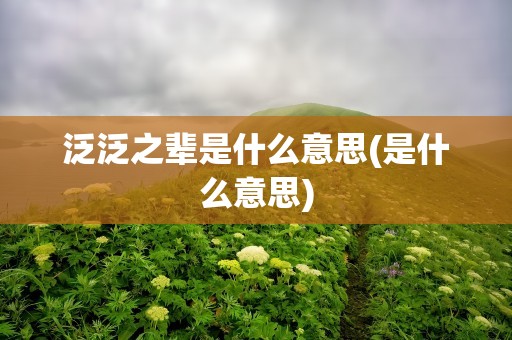 泛泛之辈是什么意思(是什么意思)