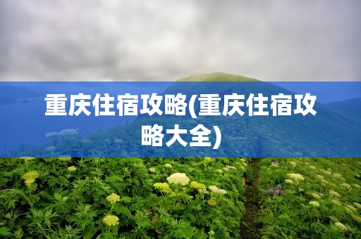 重庆住宿攻略(重庆住宿攻略大全)