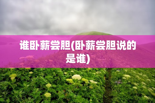 谁卧薪尝胆(卧薪尝胆说的是谁)
