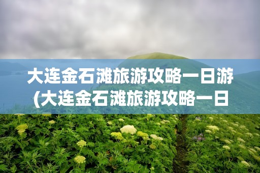 大连金石滩旅游攻略一日游(大连金石滩旅游攻略一日游路线)