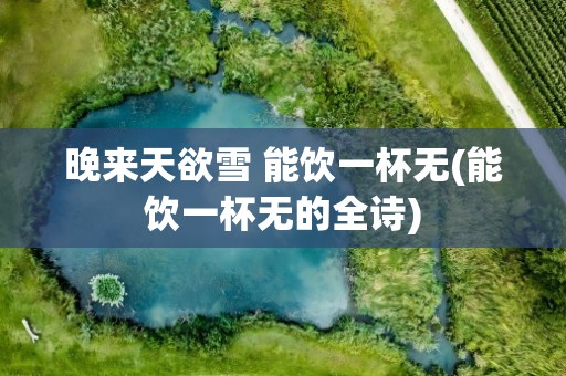 晚来天欲雪 能饮一杯无(能饮一杯无的全诗)