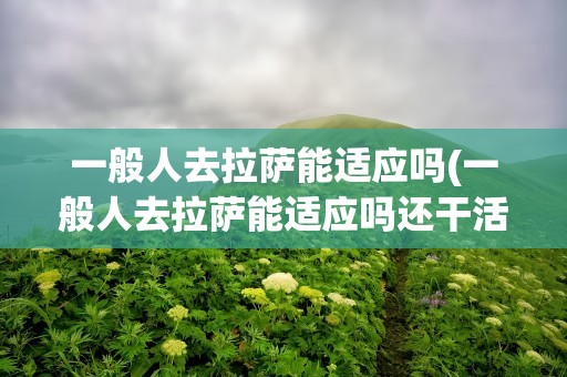 一般人去拉萨能适应吗(一般人去拉萨能适应吗还干活)