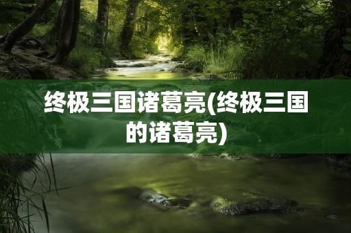 终极三国诸葛亮(终极三国的诸葛亮)