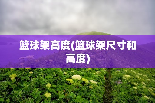 篮球架高度(篮球架尺寸和高度)