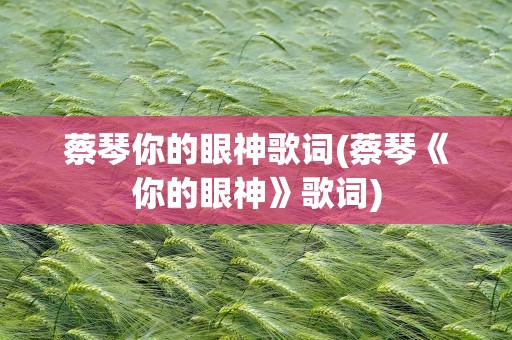 蔡琴你的眼神歌词(蔡琴《你的眼神》歌词)