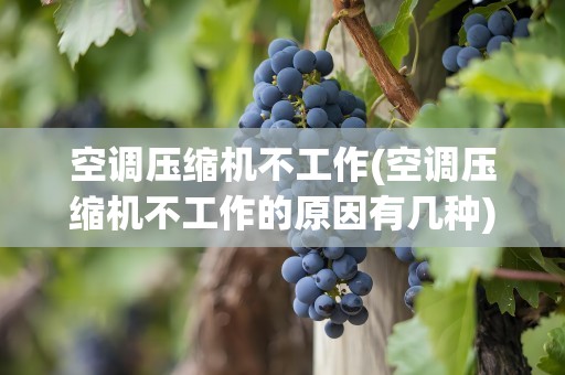 空调压缩机不工作(空调压缩机不工作的原因有几种)