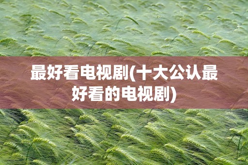 最好看电视剧(十大公认最好看的电视剧)