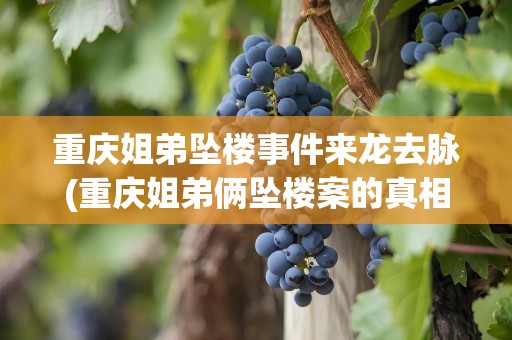 重庆姐弟坠楼事件来龙去脉(重庆姐弟俩坠楼案的真相是什么)