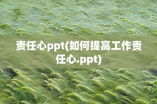 责任心ppt(如何提高工作责任心.ppt)