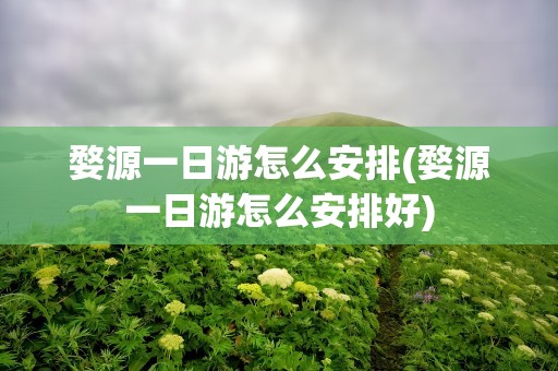 婺源一日游怎么安排(婺源一日游怎么安排好)