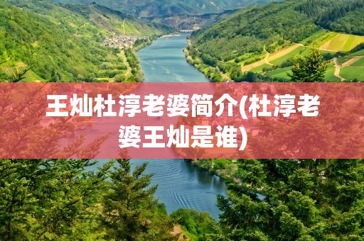 王灿杜淳老婆简介(杜淳老婆王灿是谁)