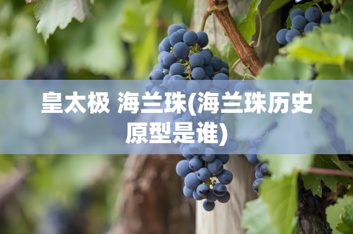 皇太极 海兰珠(海兰珠历史原型是谁)