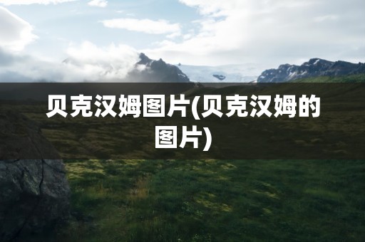 贝克汉姆图片(贝克汉姆的图片)