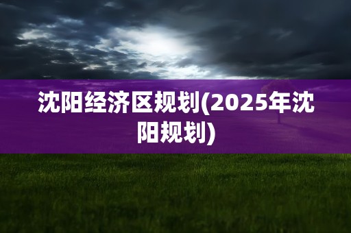 沈阳经济区规划(2025年沈阳规划)
