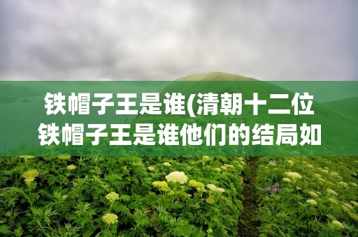 铁帽子王是谁(清朝十二位铁帽子王是谁他们的结局如何)
