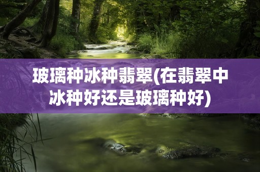 玻璃种冰种翡翠(在翡翠中冰种好还是玻璃种好)